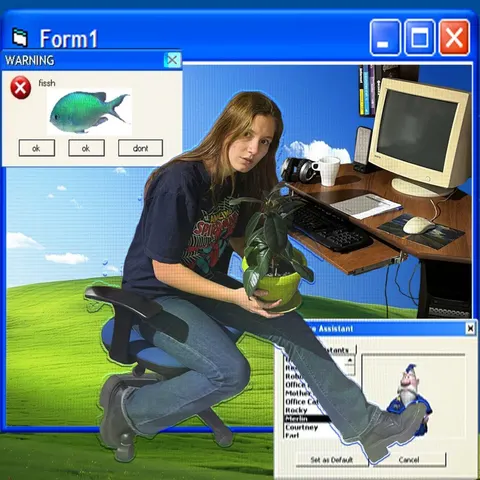 2000 internet
