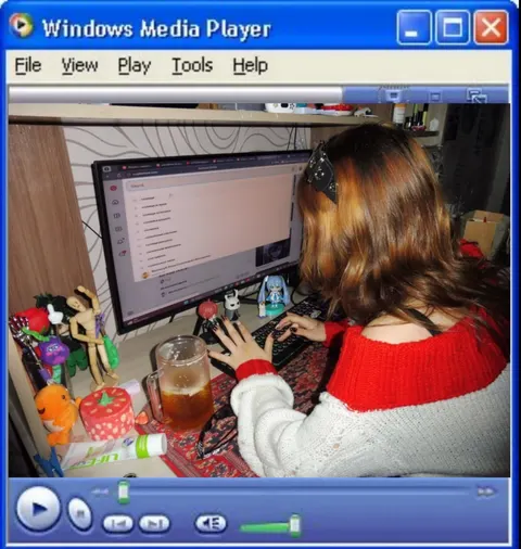 2000 internet