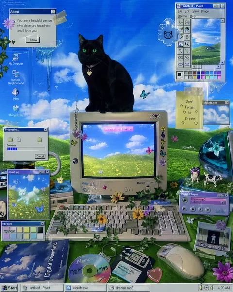 2000 internet