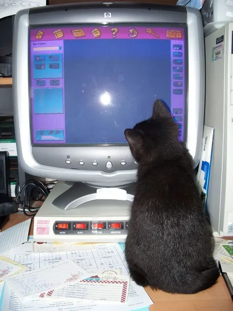 2000 internet