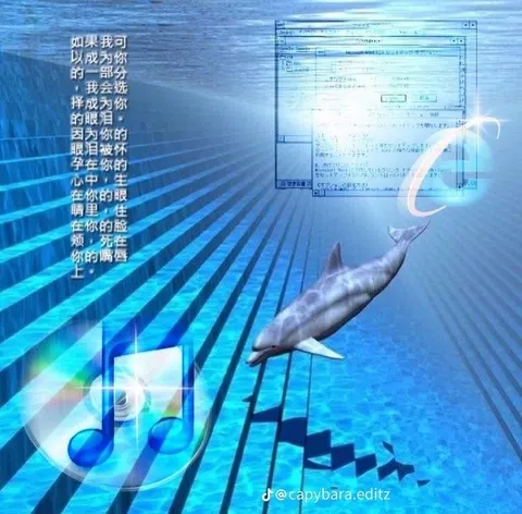 2000 internet